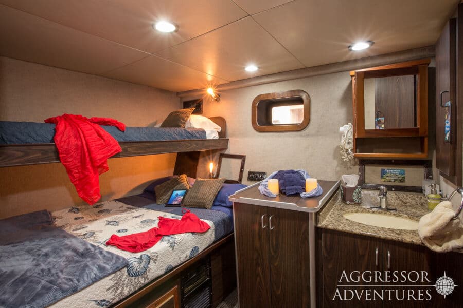 Deluxe Stateroom Lower Deck - image Deluxe Stateroom Lower Deck - image