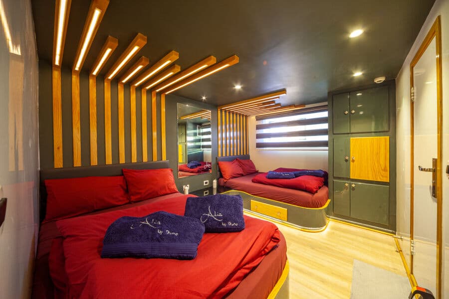 Standard Main Deck - image Standard Main Deck - image